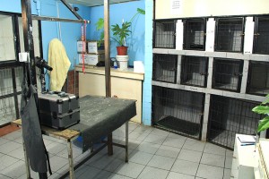 Veterinaria Doña Sofía