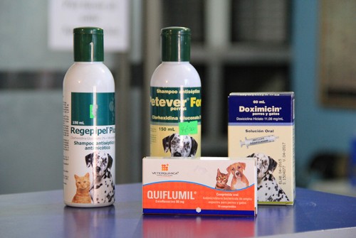 Veterinaria Doña Sofía