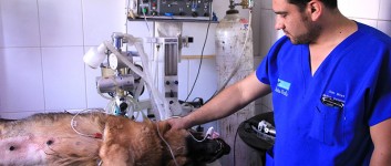 Veterinaria Doña Sofía