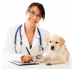 Veterinaria Doña Sofia